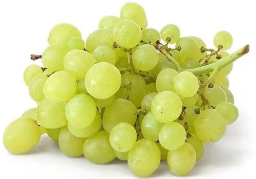 Common Fresh Green Grapes, Packaging Type : Carton For Human Consumption