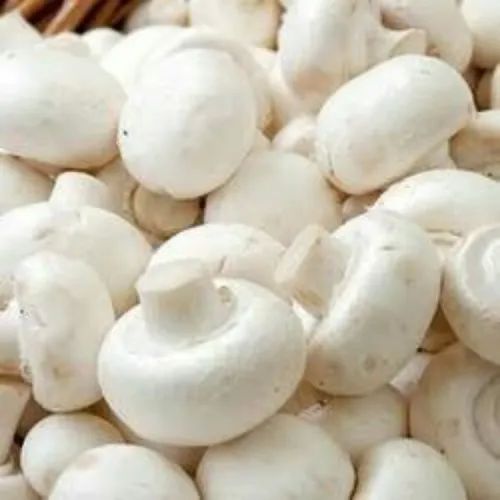 White Button Mushroom, Packaging Size : 200 Gm, Packaging Type : Plastic Packet