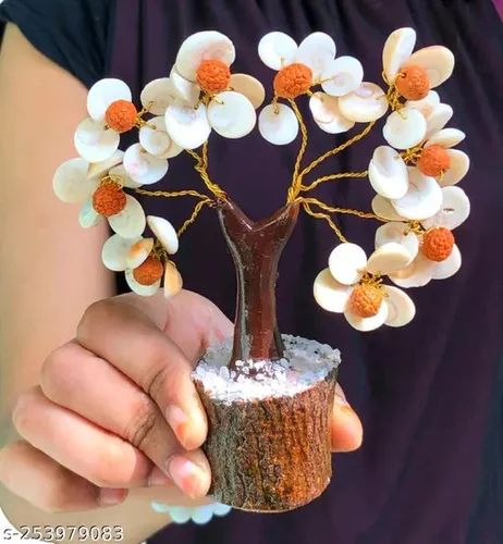 Natural Gomti Chakra Rudraksha Tree, Packaging Type : Paper Box For Healing Purpose