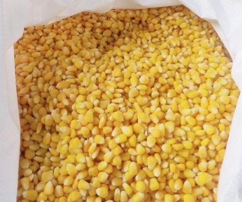 Organic Frozen Sweet Corn