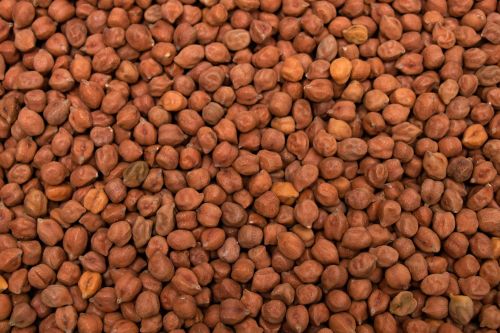 Brown Chickpeas, Variety : Desi Chana, Grade Standard : Food Grade, Packaging Type : Plastic Bag