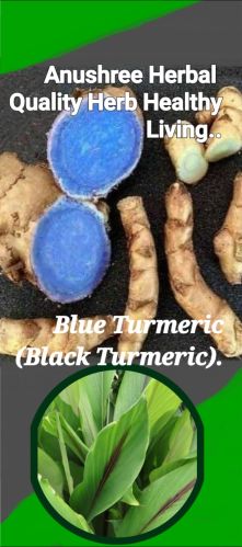 Black turmeric, Form : Solid