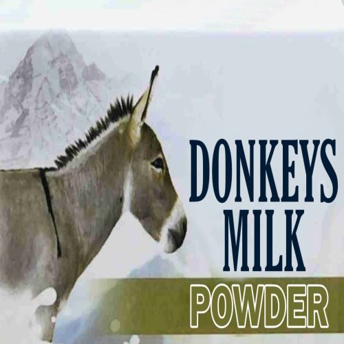 Donkey Milk Powder, Color : White