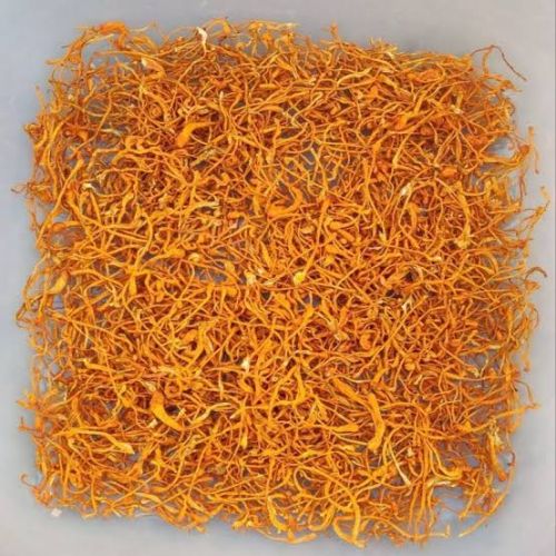 Cordyceps militaris, Form : Raw (Dried)