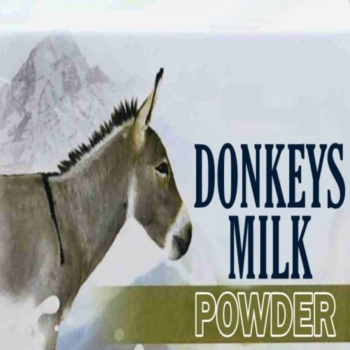 Donkey Milk Powder, Color : White, Purity : 100% For Medicine Use