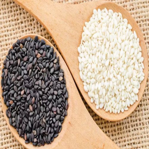 Organic Sesame Seeds, Color : Black & White Dried For Cooking