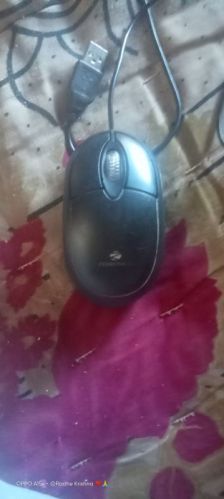 Plastic wireless mouse, Brand Name : Zebronics