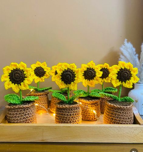 Polished Crochet Flower POT 12x8Inch