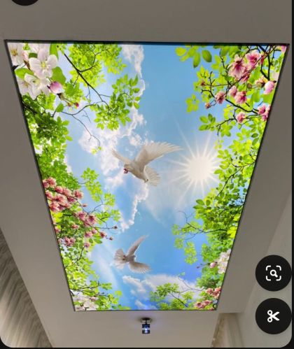 Printed Polished Stretch Ceiling Antique, Hardness : Hard, Soft