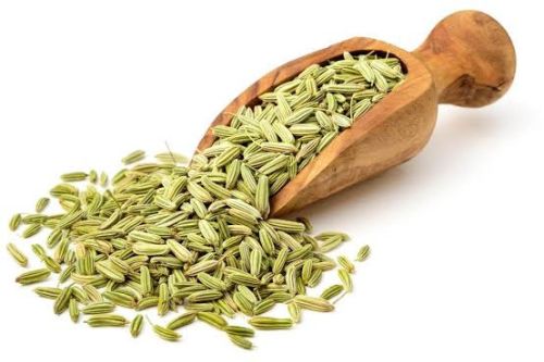 Organic Fennel Seeds, Color : Green, Grade Standard : Food Grade