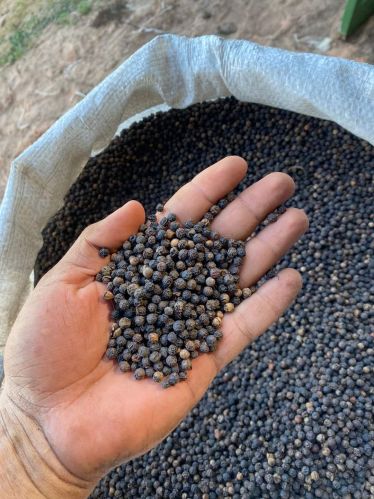 Black pepper, Packaging Type : Dark Brown, Form : Granules