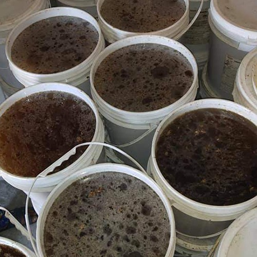 Forest Honey, Packaging Type : Light Red, Form : Gel