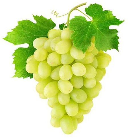 Natural Fresh Green Grapes, Packaging Type : Paper Box, Packaging Size : 10kg For Human Consumption