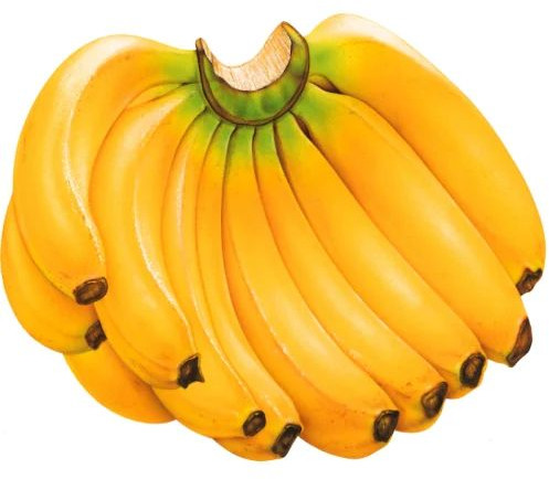 Natural Fresh Yellow Banana, Taste : Sweet, Packaging Type : Loose