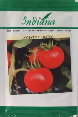 Tomato Seeds, Packaging Type : PP Bag