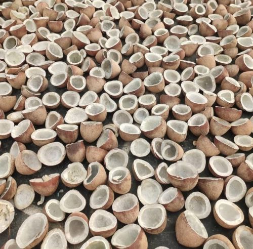 Natural coconut copra, Form : Solid for Cosmetics, Pooja, COOKING