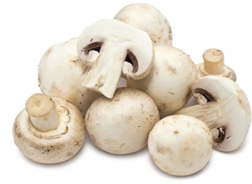 Button mushroom, Quality Available : A Grade