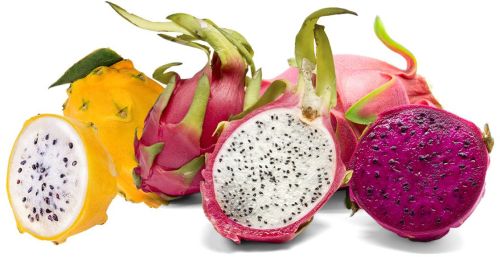 Dragon fruit, Packaging Type : Pink for Human Consumption