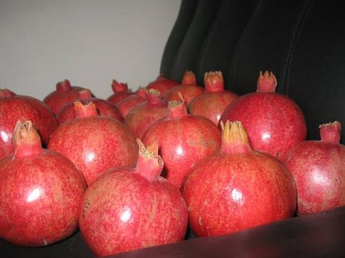 Organic Pomegranate, Color : Red For Human Consumption