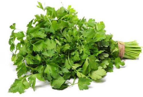 Natural Parsley Leaves, Packaging Type : Green for Food Medicine