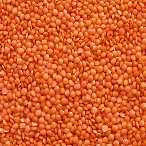 Natural Red Whole Masoor Dal, Packaging Type : Bag, Speciality : Purity, Nutritious For Cooking