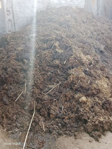 Cow Dung Cake, Color : Brown, Packaging Type : PP Bag