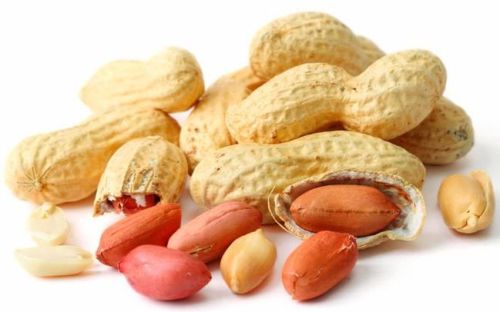 Solid peanut for Cooking, Human Consumption