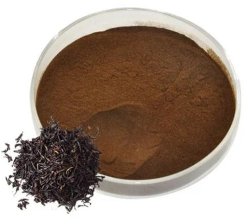 Natural Black Tea Extract, Color : Brown Dried, Form : Powder