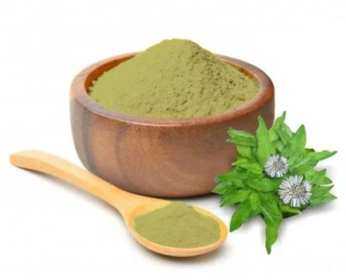 Natural Bhringaraj Extract, Color : Green Dried, Form : Powder