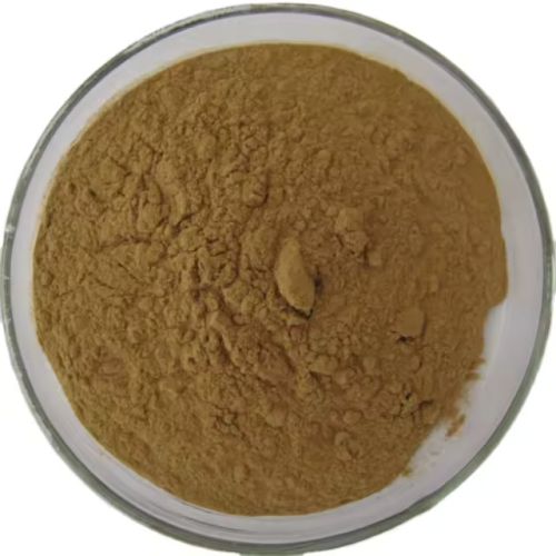 Organic Phyllanthus Niruri Extract, Color : Brown Dried, Form : Powder