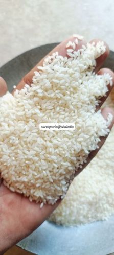 Customized Hard Common Jeera Samba Rice, Color : Light White, Certification : FSSAI Certified For Cooking