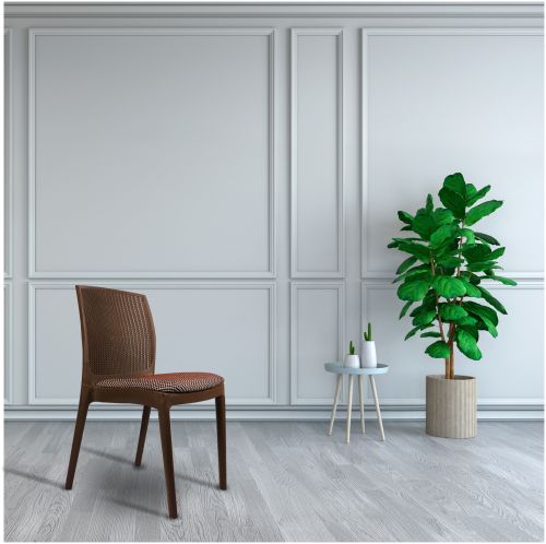 Plain PP Handle Free Cushion Beeta Chair, Color : Brown Modern