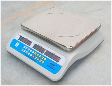ABS Price Computing Scale-99 Memory -30 Kg