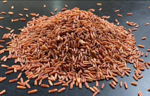 Organic Hard Brown Rice, Packaging Type : 10kg, 20kg, 25kg, 50kg