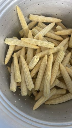 Fresh Baby Corns, Packaging Type : Yellow