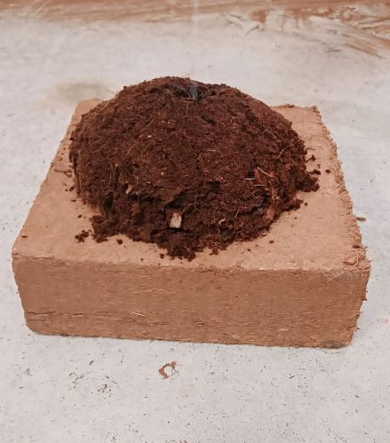 Coco Peat 5Kg Blocks, Shape : Rectangular, Block Size : 30x30x12cm