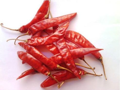 Natural Guntur Dry Red Chilli, Taste : Spicy, Packaging Type : Gunny Bags, Mesh Bags & Custom For Cooking