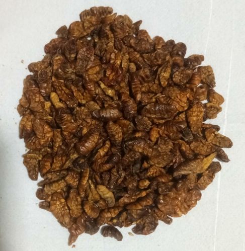 Dry Silkworm Pupae, Purity : 90%, Packaging Type : Plastic Bag, Packaging Size : 25-50 Kg