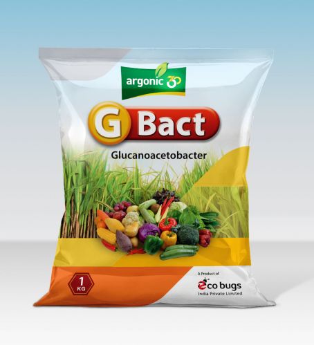 Gluconacetobacter Talc Based Biofertilizer, For Agriculture, Purity : 100%