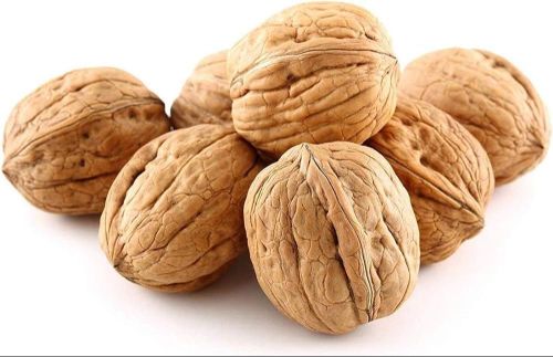 Brown Inshell Walnuts, Packaging Type : Box For Human Consumption