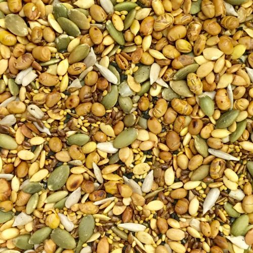 Dried Seven Seeds Mix, Packaging Type : Vaccum Bag For Human Consumption