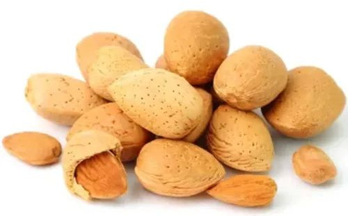 Inshell California Almond Nuts, Packaging Type : Bag