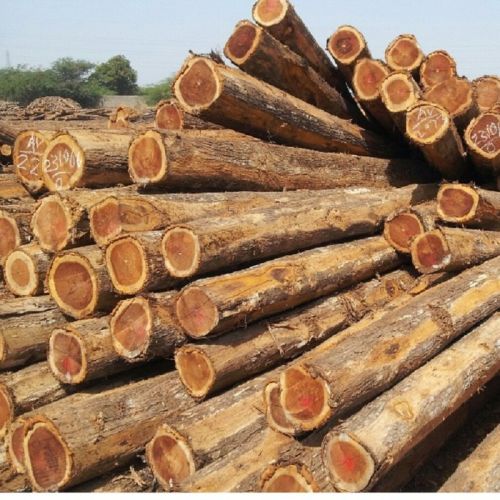 Brown Teak Wood Logs, Shape : Round For Boats, Making Furniture