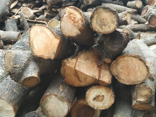 Pine Fire Wood Logs, Color : Brown For Burning Use