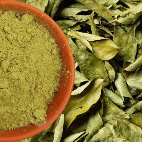 Green Dry Curry Leaves Powder, Packaging Size : 5-25kg for Cooking