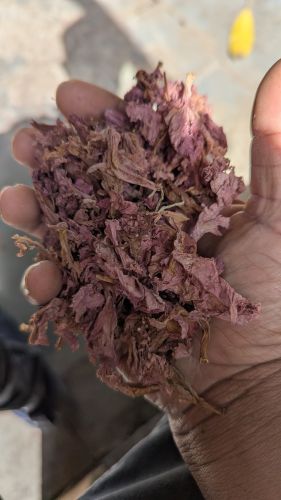 Dry Hibiscus Flower, Packaging Type : Resealable Pouch, Purity : 99%