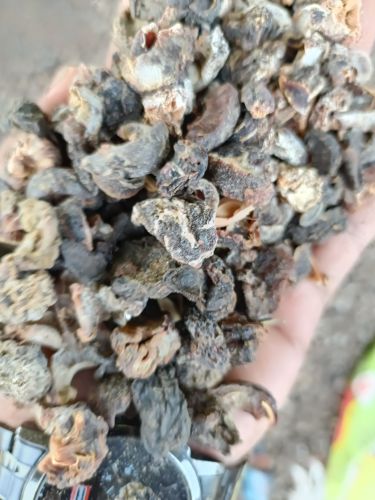 Dried Amla, Color : Dark Brown, Packaging Type : Resealable Pouch