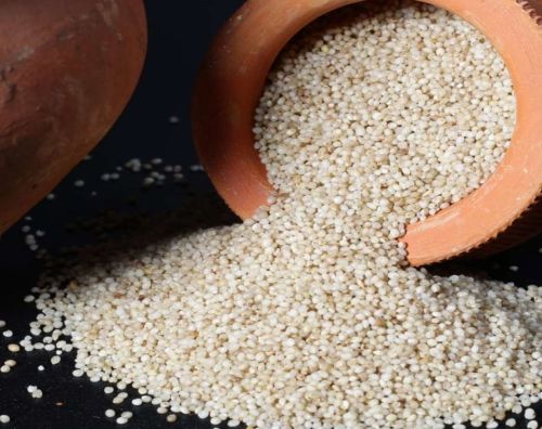 Dhanshakti Organic Barnyard Millet for Cooking, Purity : 99%