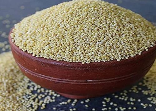 Dhanshakti Organic Little Millet