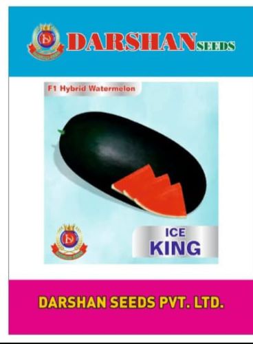 Food Grade Watermelon Ice King Hybrid Seeds, Seed Type : Natural